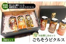 《旬のお楽しみセット》ごちそうピクルス 3本セット ｜ ピクルス ぴくるす セット 詰め合わせ 健康 ヘルシー 料理 食材 漬物