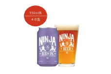 NINJA IPA 2ケース 350ml×48缶 ※2025年6月上旬頃より順次発送予定