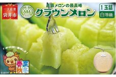 クラウンメロン（白上級）１玉入