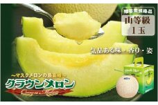 クラウンメロン（山等級）１玉入