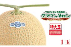 クラウンメロン（白等級）特大玉 １玉入