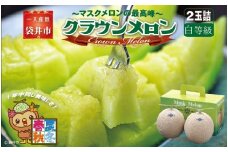 クラウンメロン（白上級）２玉入