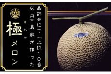 クラウンメロン”極メロン”１玉入　ギフト箱入り