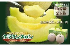 クラウンメロン（山等級）２玉入　