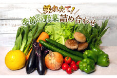 野菜 とれたて 季節の野菜 パック 8品前後 詰め合わせ セット 野菜セット 旬の野菜 旬 野菜詰め合わせ 野菜詰め合わせセット 産地直送 送料無料 たまねぎ にんじん じゃがいも ほうれん草 トマト キャベツ しいたけ 大根 白菜 冷蔵 静岡