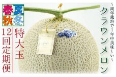 【12ヶ月定期便】クラウンメロン（白等級）特大玉　1玉入