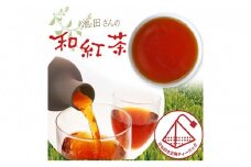 池田さんの和紅茶（ひも付きマグ用）10袋セット おすすめ べにふうき ティーバッグ 簡単 便利 ギフト 贈り物 人気 厳選 袋井市