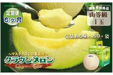 【6ヶ月定期便】クラウンメロン（山等級）1玉入