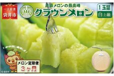 【3ヶ月定期便】クラウンメロン（白上級）1玉入　