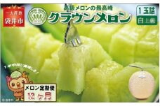 【12ヶ月定期便】クラウンメロン（白上級）1玉入	
