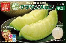 クラウンメロン（白等級）中玉　1玉入