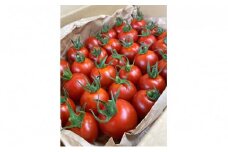 ナグリファームのフルティカトマト（夏届け）