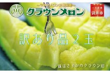 『クラウンメロン 訳あり 2玉』 メロン 果物 くだもの フルーツ マスクメロン デザート 青肉