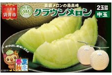 クラウンメロン（白等級）中玉　2玉入