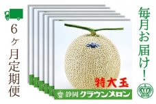【6ヶ月定期便】クラウンメロン（白等級）特大玉　1玉入