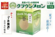 【お中元対応】『クラウンメロン 白等級 　1玉』 熨斗シール付き化粧箱入り　お届け：2024年7月1日～31日
