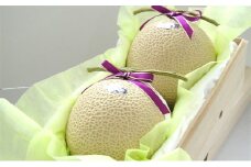 【お歳暮対応】クラウンメロン（山等級）２玉【桐箱入】