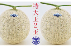 【お歳暮対応】クラウンメロン（白等級）特大玉　２玉入