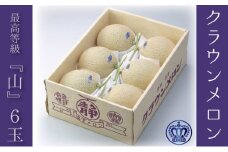 【お歳暮対応】クラウンメロン（山等級）６玉入
