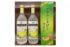 遠州クラウンメロンワイン 720ml 2本 甘口 アルコール 人気 厳選 ギフト 贈り物 おすすめ 袋井市