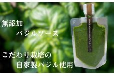 温室野菜 sano 　生バジルソース 料理 イタリア料理 新鮮 香り 温室栽培 無添加 おすすめ 人気 厳選 袋井市