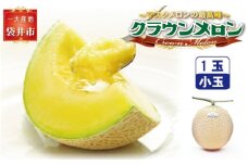 クラウンメロン（白等級）小玉　１玉入