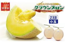 クラウンメロン（白等級）小玉 ２玉入　