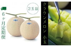 【6ヶ月定期便】クラウンメロン（白級級）小玉　２玉入