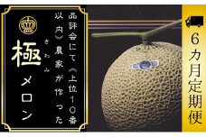 【6ヶ月定期便】数量限定！『クラウンメロン ”極メロン” 1玉 』 ギフト箱入り メロン 静岡 マスクメロン フルーツ 果物 デザート 6回