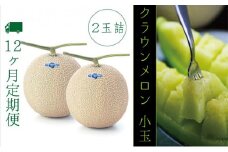 【12ヶ月定期便】クラウンメロン（白等級）小玉　２玉入
