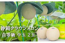 クラウンメロン【上（山等級）】中玉（1.3kg前後）2玉入り人気 厳選 ギフト 贈り物 デザート グルメ 果物 袋井市