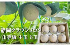 クラウンメロン【上（山等級）】中玉（1.3kg前後）6玉入り 人気 厳選 ギフト 贈り物 デザート グルメ 果物 袋井市