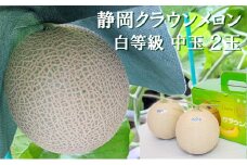 クラウンメロン【並（白等級）】中玉（1.3kg前後）2玉入り 人気 厳選 ギフト 贈り物 デザート グルメ 果物 袋井市