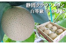 クラウンメロン【並（白等級）】中玉（1.3kg前後）6玉入り 人気 厳選 ギフト 贈り物 デザート グルメ 果物 袋井市