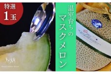 【先行予約】温室育ちのマスクメロン 春果 特選 1玉 人気 厳選 ギフト 贈り物 デザート グルメ フルーツ 果物 袋井市