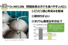 ドクターメロン 低カリウムで腎臓疾患の方も食べやすい（6月・7月お届け）健康 ヘルシー ギフト 贈り物 フルーツ 人気 厳選 袋井市