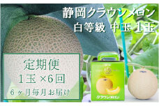 クラウンメロン【並（白等級）】中玉（1.3kg前後）1玉入り 定期便6ヶ月 人気 厳選 ギフト 贈り物 デザート グルメ 果物 袋井市