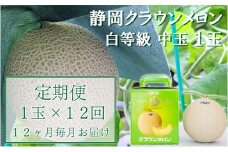 クラウンメロン【並（白等級）】中玉（1.3kg前後）1玉入り 定期便12ヶ月 人気 厳選 ギフト 贈り物 デザート グルメ 果物 袋井市