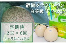 クラウンメロン【並（白等級）】中玉（1.3kg前後）2玉入り 定期便6ヶ月 人気 厳選 ギフト 贈り物 デザート グルメ  果物 袋井市