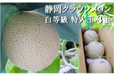 クラウンメロン【並（白等級）】特大玉（1.5kg前後）3玉入り 人気 厳選 ギフト 贈り物 デザート グルメ 果物 袋井市