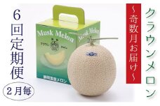 【奇数月6回定期便】クラウンメロン（白等級）1玉入