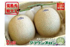 クラウンメロン　規格外特大玉（約1.7Kg～）2玉入　