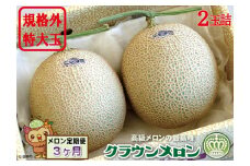 【3ヶ月定期便】クラウンメロン　規格外特大玉（約1.7kg）2玉入