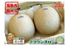 【6ヶ月定期便】クラウンメロン　規格外特大玉（約1.7kg）2玉入