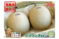 【12ヶ月定期便】クラウンメロン　規格外特大玉（約1.7kg）2玉入