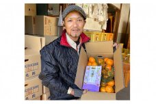 こたつみかん　静岡セット（お茶とワケありみかん約5kg）【配達不可地域あり】