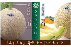 『クラウンメロン（白級・山級）の食べ比べセット』 メロン 人気 厳選 ギフト 贈り物 デザート グルメ フルーツ 果物 袋井市