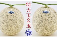 2025年9月発送クラウンメロン（白級）特大玉 2玉　箱入り