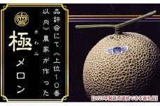 2025年10月発送クラウンメロン”極メロン”1玉　ギフト箱入り