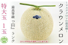 2025年9月発送クラウンメロン（山級）特大玉  1玉　ギフト箱入り